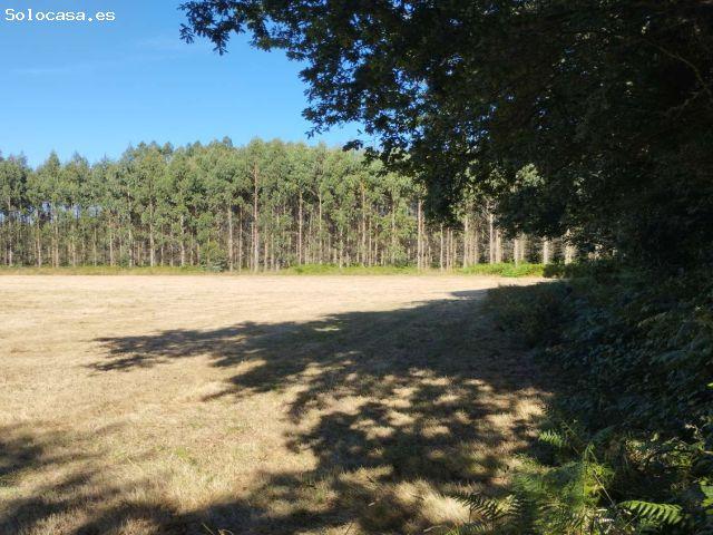 Local Comercial en venta en Terra Chá, Galicia