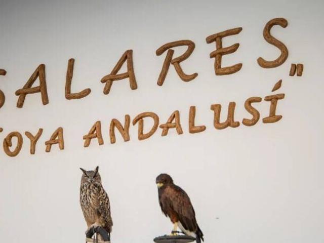 Terreno en venta en Salares