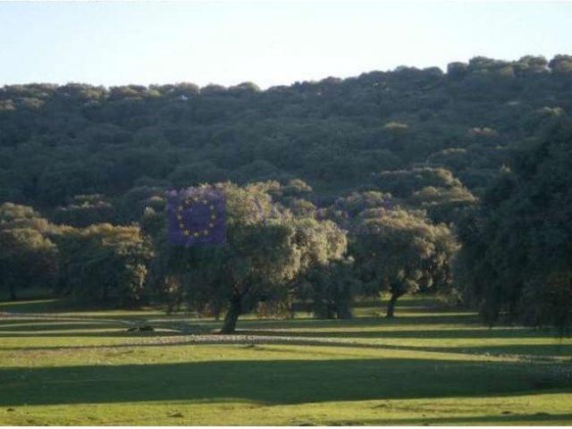 Terreno en venta en Salorino