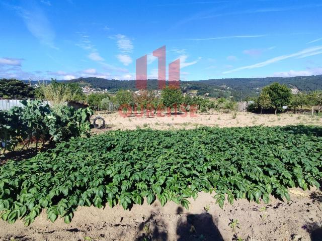 Terreno en venta en San Cibrao Das Viñas, A Lagoa