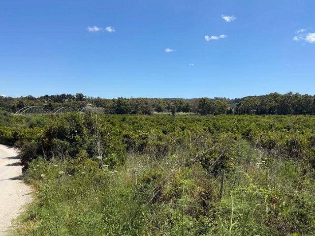 Terreno en venta en Sotogrande, Campo de Gibraltar