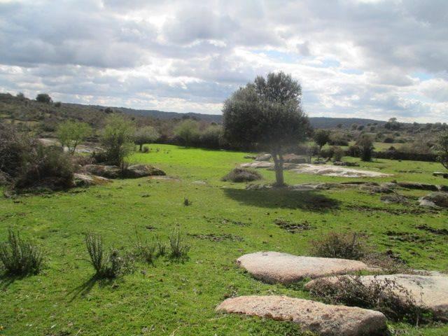 Terreno en venta en San Felices De Los Gallegos, Castilla y León