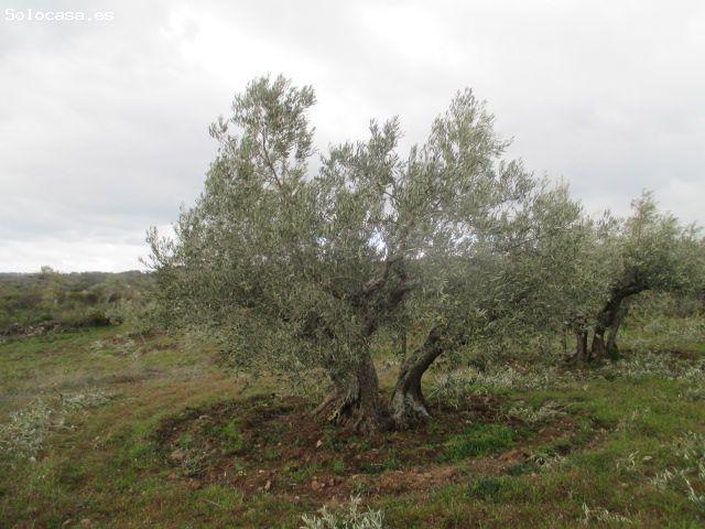 Local Comercial en venta en San Felices De Los Gallegos, Castilla y León