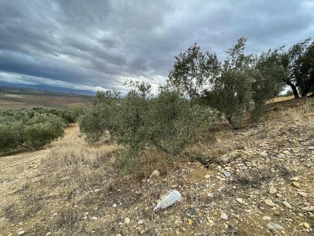 Terreno en venta en San Bartolomé, Jaén