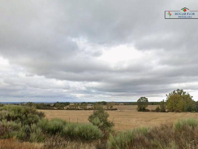 Terreno en venta en San Martín Del Castañar, Castilla y León