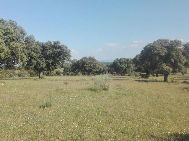 Terreno en venta en San Román De Los Montes