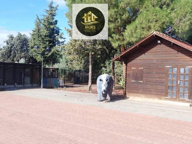 Terreno en venta en Linares, Andalucía