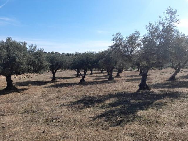Villa en venta en San Vicente De Alcántara