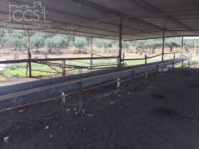 Terreno en venta en Sanlúcar La Mayor, Andalucía