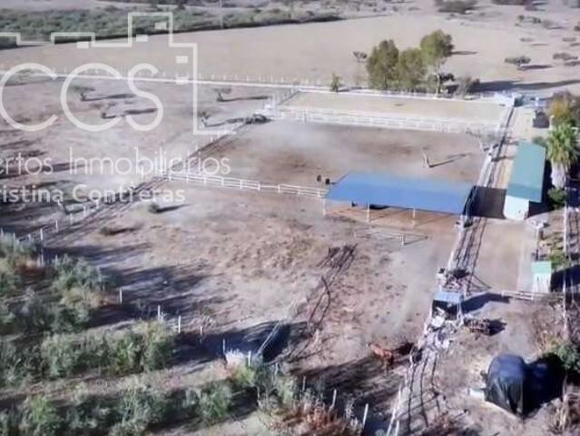 Terreno en venta en Sanlúcar La Mayor, Torrequesada-Camino de Umbrete