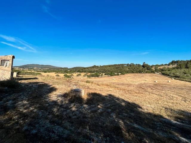 Terreno en venta en Pla de Mallorca, Baleares