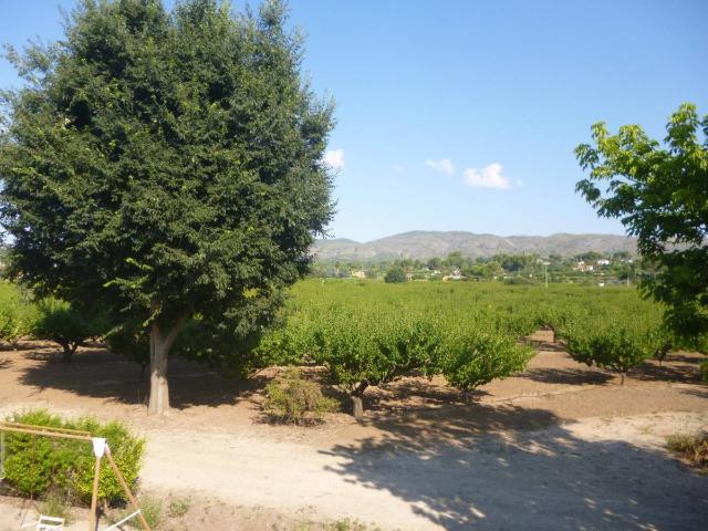 Terreno en venta en la Vall d'Albaida, Valencia