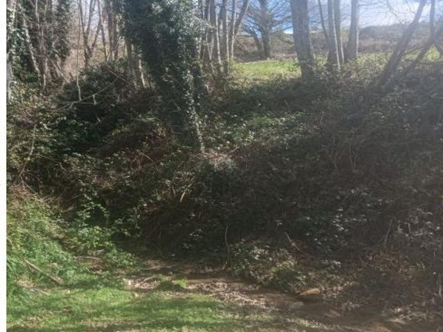 Local Comercial en venta en Tineo, Asturias