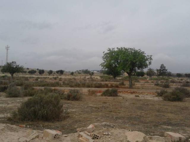 Terreno en venta en Alicante, Centre Històric