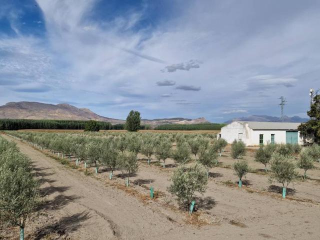 Terreno en venta en Comarca de la Vega de Granada, Andalucía