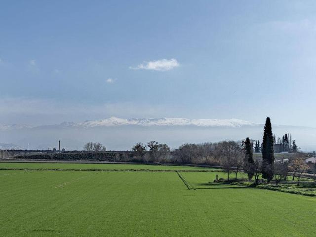 Terreno en venta en Comarca de la Vega de Granada, Andalucía