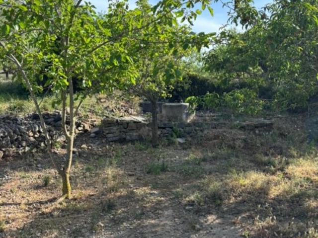 Terreno en venta en el Baix Maestrat, Valencia