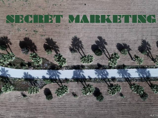 Terreno en venta en Santa Margalida, Pla de Mallorca