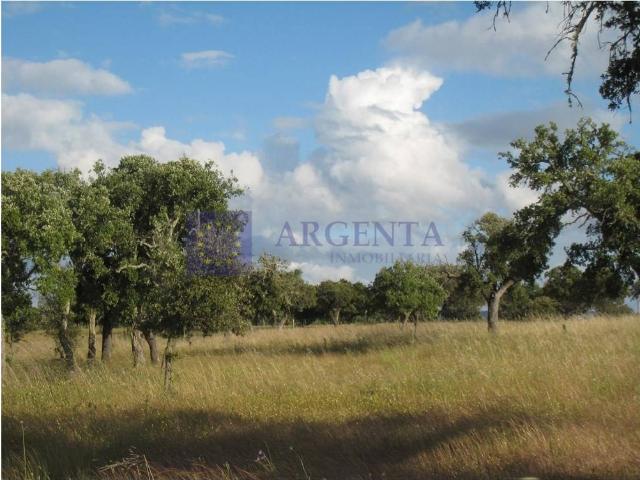 Terreno en venta en Santiago De Alcántara, Extremadura
