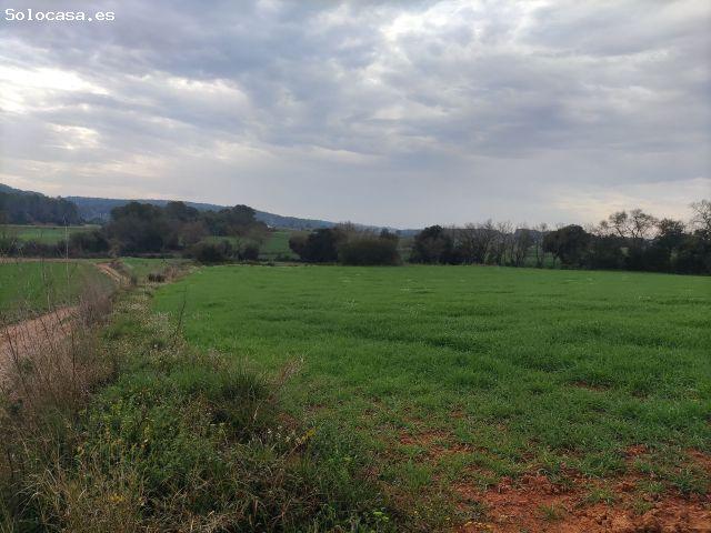 Local Comercial en venta en Alt Empordà, Catalunya