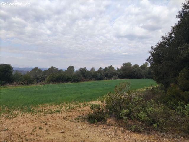 Local Comercial en venta en Camallera, Alt Empordà