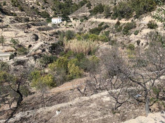 Terreno en venta en la Marina Baixa, Valencia