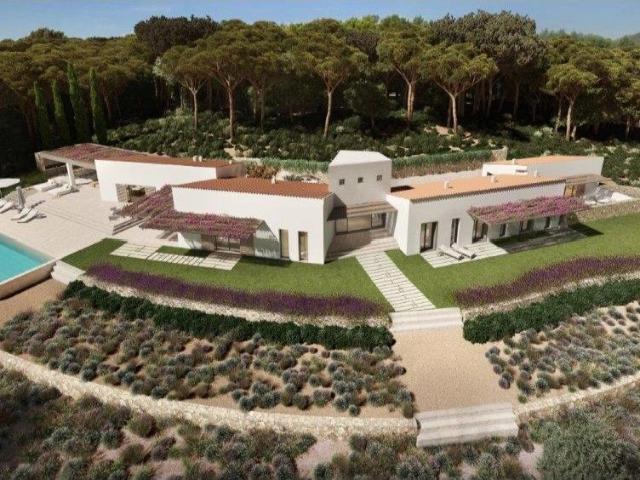Terreno en venta en Selva, Camarata Terreno en venta en Selva, Camarata