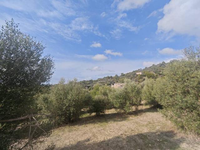 Terreno en venta en Raiguer, Baleares