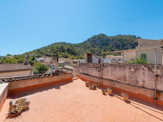 Terreno en venta en Selva, Camarata Terreno en venta en Selva, Camarata