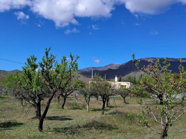 Terreno en venta en Senés, Andalucía