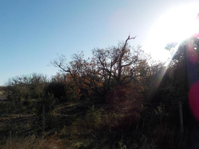 Terreno en venta en Serradilla Del Arroyo, Castilla y León