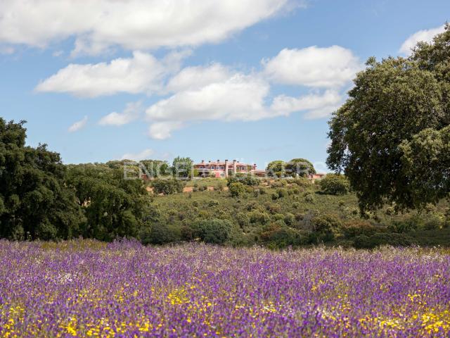 Terreno en venta en El Casar