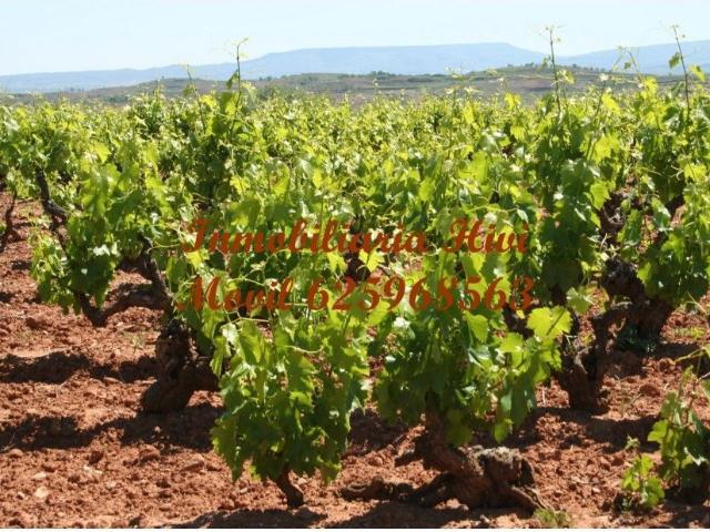 Terreno en venta en Solana De Los Barros