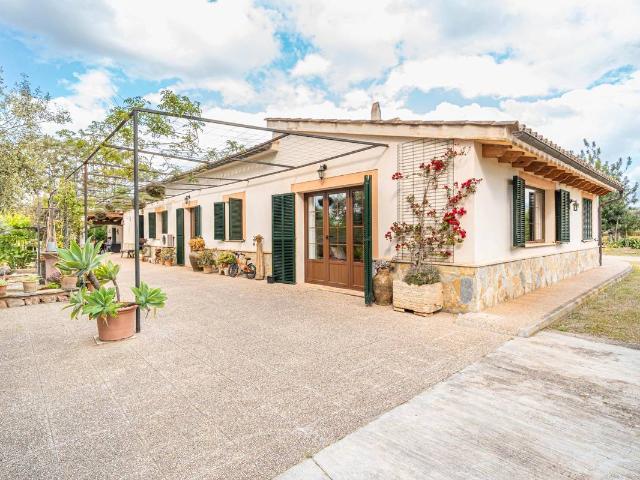 Terreno en venta en Palma, el Call