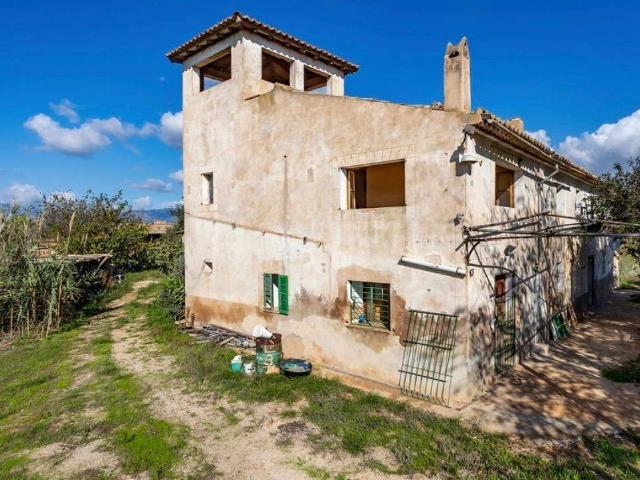 Terreno en venta en Palma, el Call