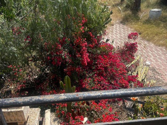 Terreno en venta en Palma, el Call
