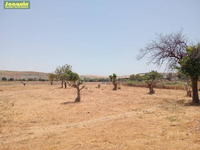 Terreno en venta en Distrito Centro, Córdoba