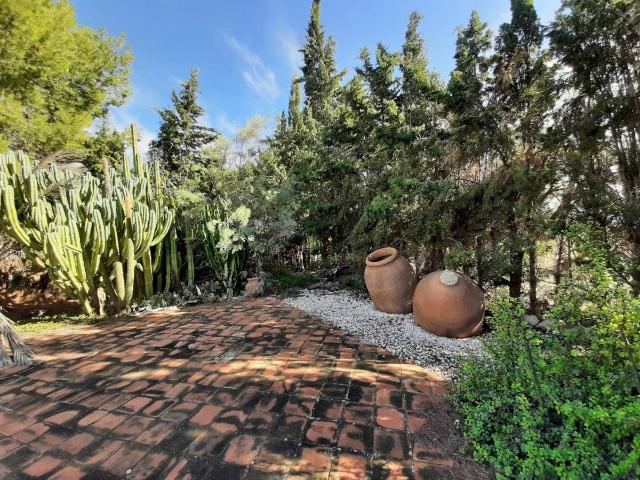 Terreno en venta en Virgen de las Huertas, Alto Guadalentín