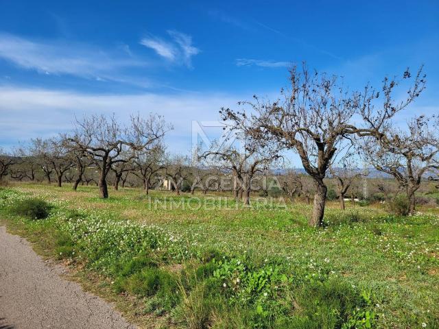 Terreno en venta en Traiguera
