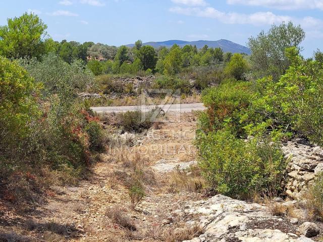 Terreno en venta en Traiguera