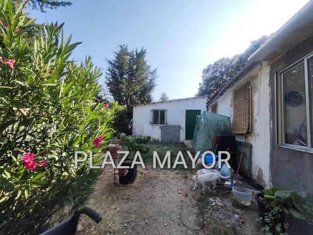 Terreno en venta en Terradillos, Castilla y León