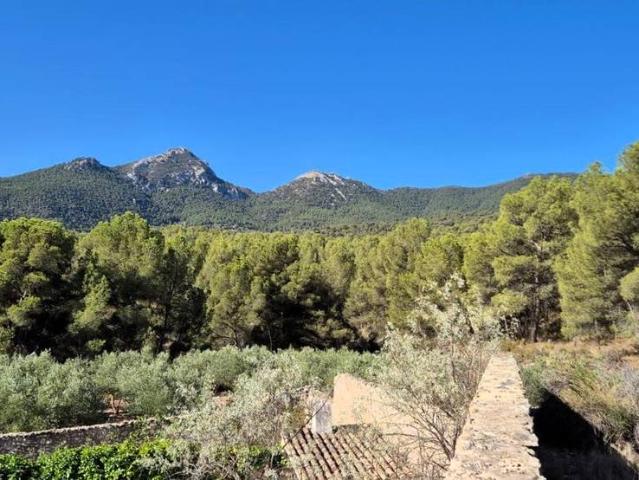 Terreno en venta en Tibi