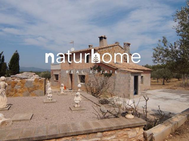 Terreno en venta en Ribera d'Ebre, Catalunya