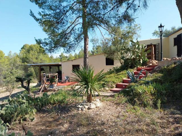 Terreno en venta en Ribera d'Ebre, Catalunya