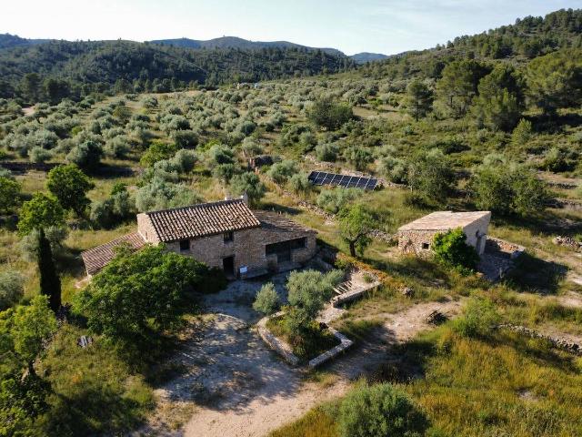 Terreno en venta en Ribera d'Ebre, Catalunya