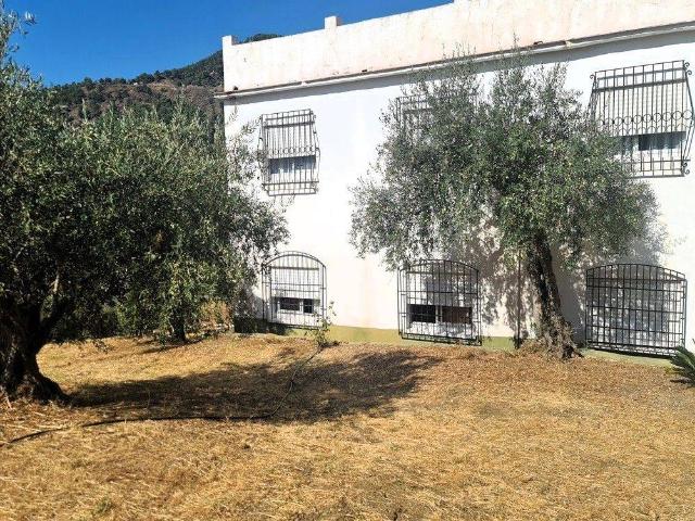 Terreno en venta en Sierra de las Nieves, Andalucía