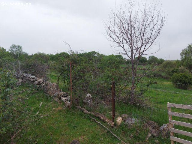 Local Comercial en venta en Sexmo de San Lorenzo, Torrecaballeros