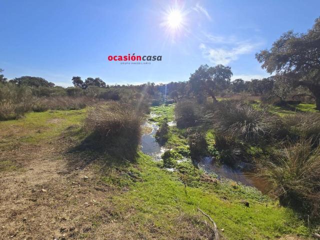 Terreno en venta en Torrecampo, Andalucía