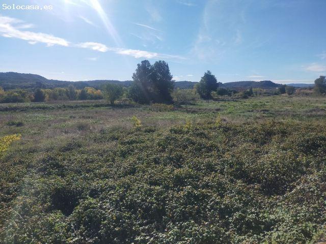 Local Comercial en venta en Bajo Aragón, Aragón
