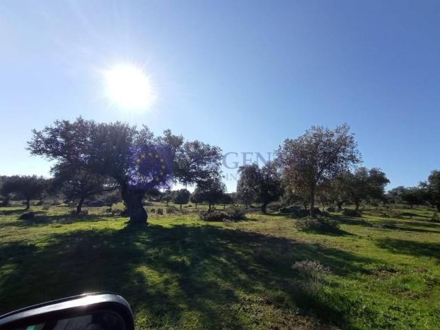 Terreno en venta en Torrejoncillo